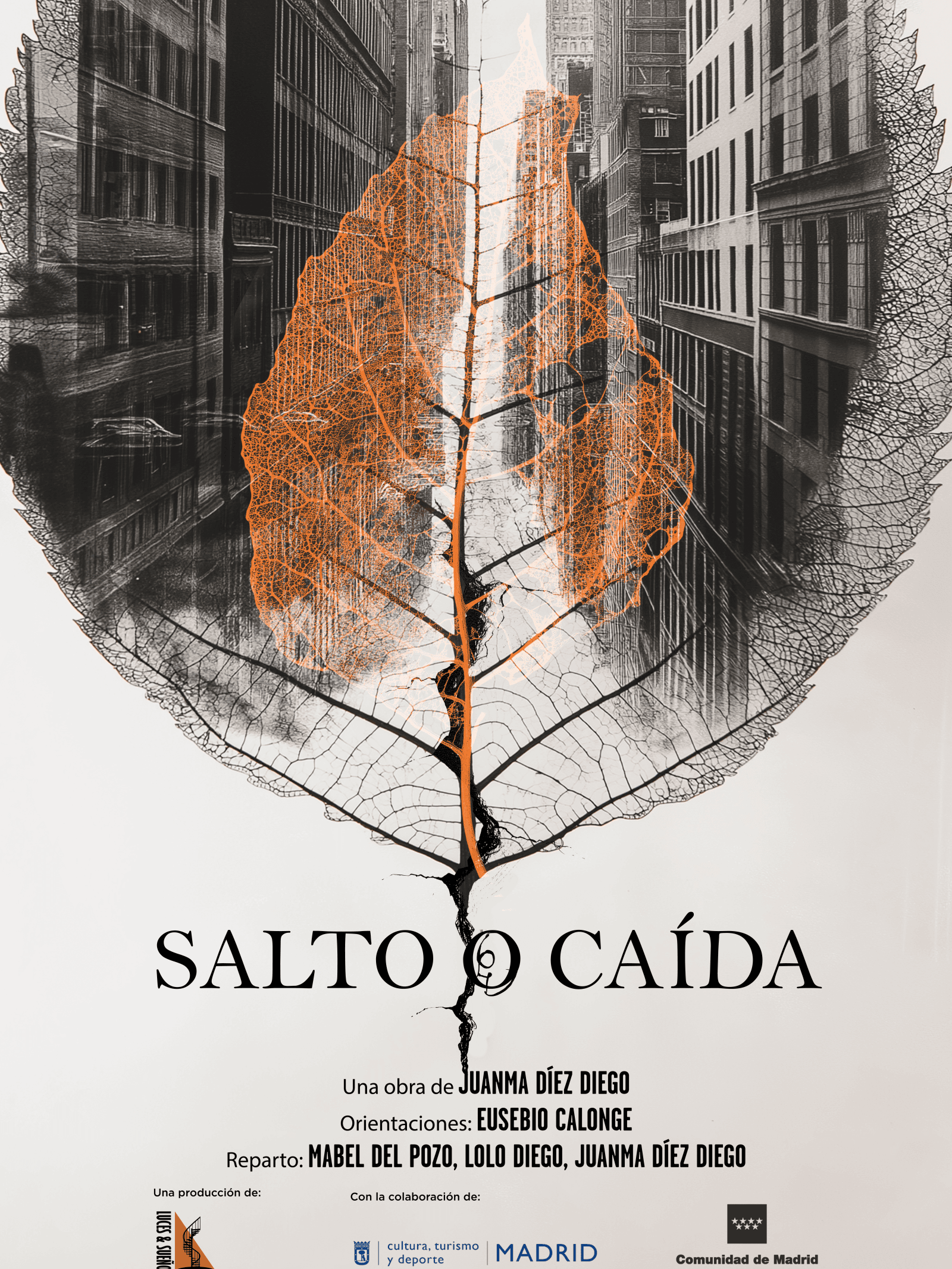 salto o caída en teatro zorrilla valladolid