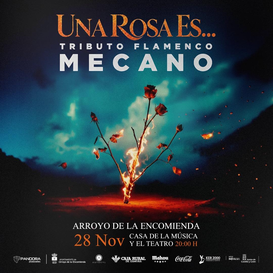 Tributo a Mecano en Valladolid: Una rosa es… en flamenco