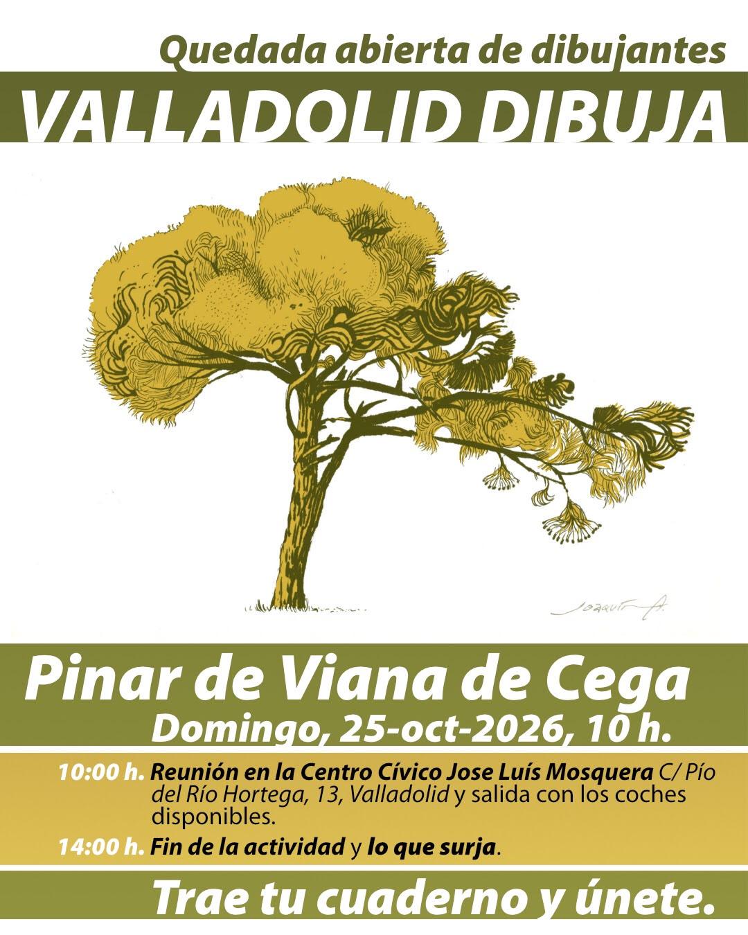 Valladolid Dibuja sale al pinar de Viana de Cega