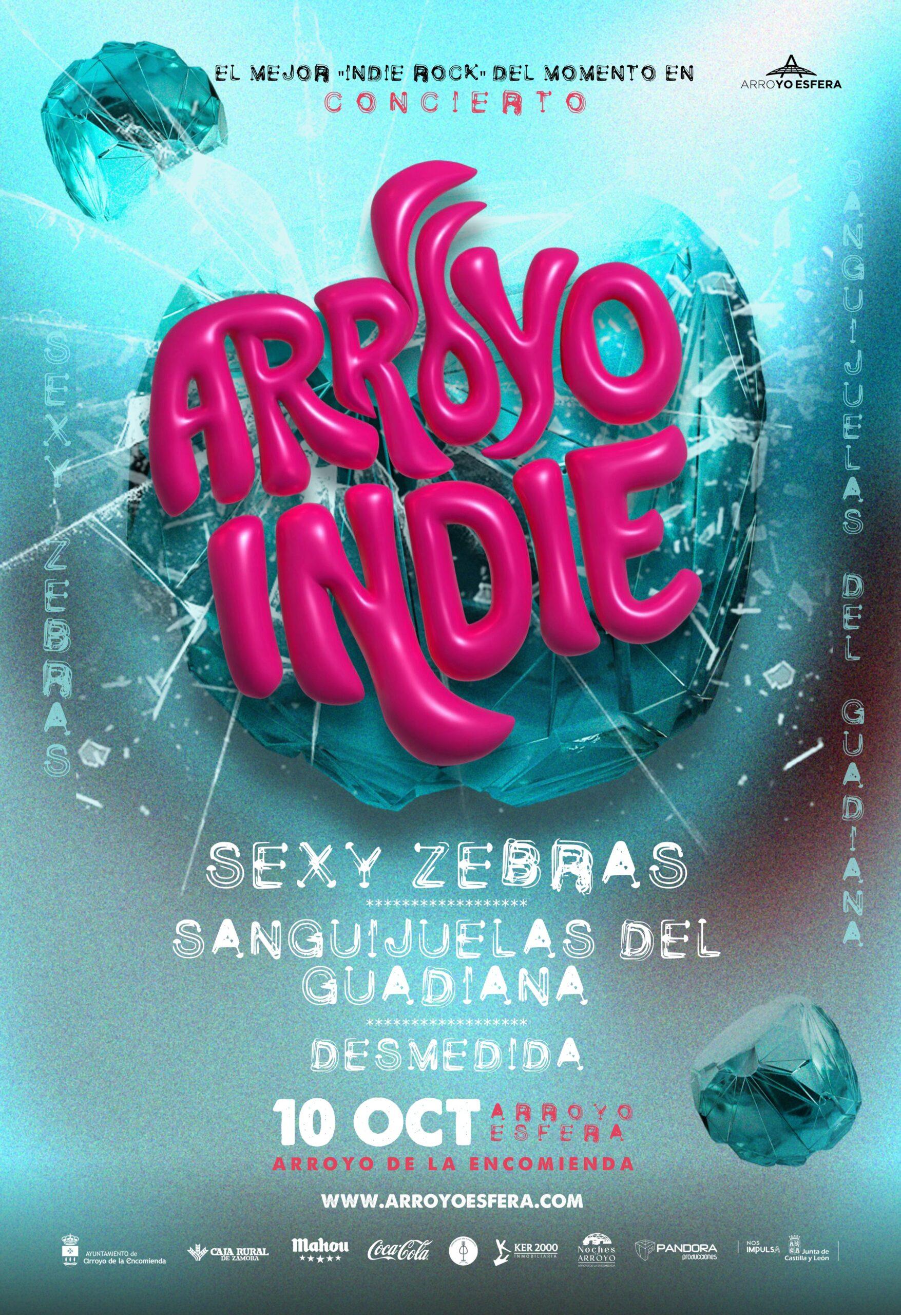 Arroyo Indie Valladolid estrena su primer cartel
